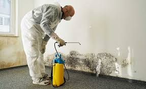  Delta, CO Mold Prevention & Removal Pros